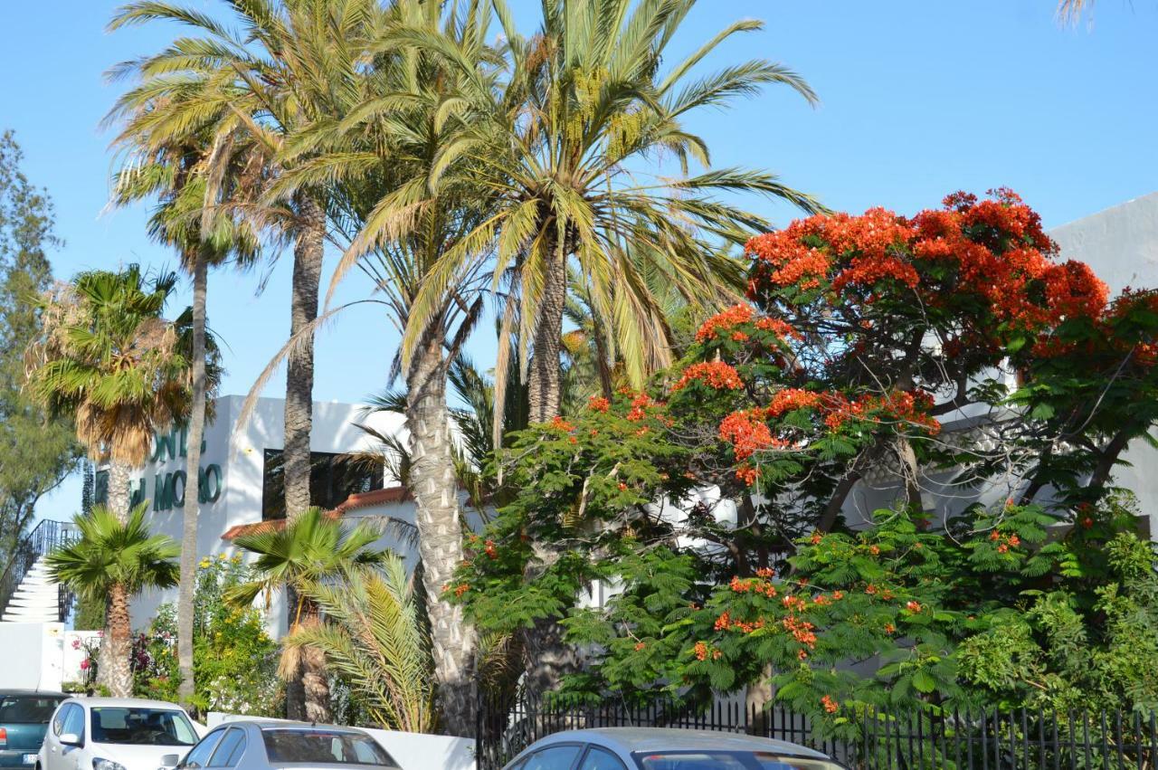 Ocean Loft Appartement Maspalomas  Buitenkant foto